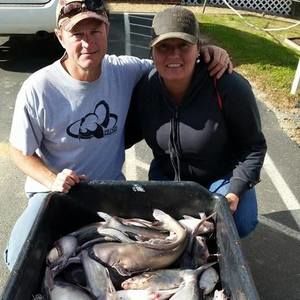 Meet your Posher, Misty